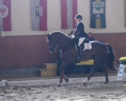 dressage horse Schweizerhof's Fantast (Westphalian, 2011, from Fürst Romancier)