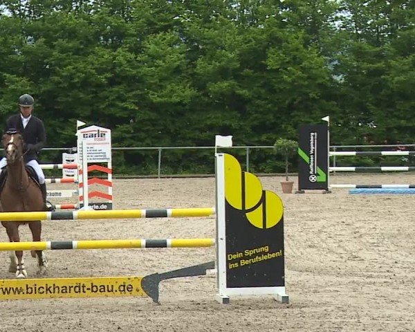 Reitturnier Landenhausen 2024