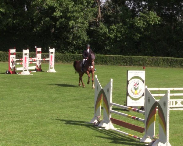 Reitturnier Westeregeln 2024