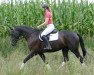 dressage horse Hepatica (Lithuanians Warmblood, 2017, from Heksteris)