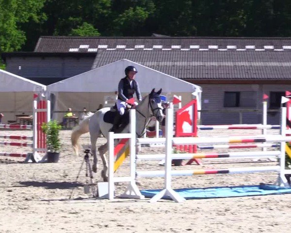 Reitturnier Kropp 2024