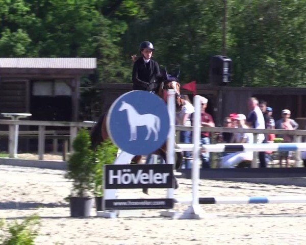 Reitturnier Kropp 2024