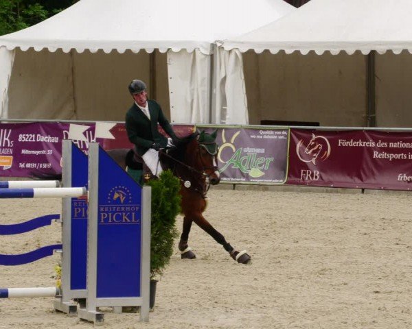 Reitturnier Karlsfeld/Obb. 2024