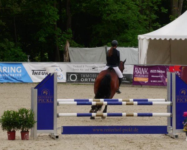 Reitturnier Karlsfeld/Obb. 2024