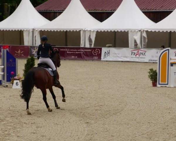 Reitturnier Karlsfeld/Obb. 2024