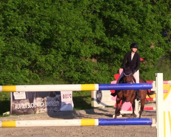 Reitturnier Kropp 2024