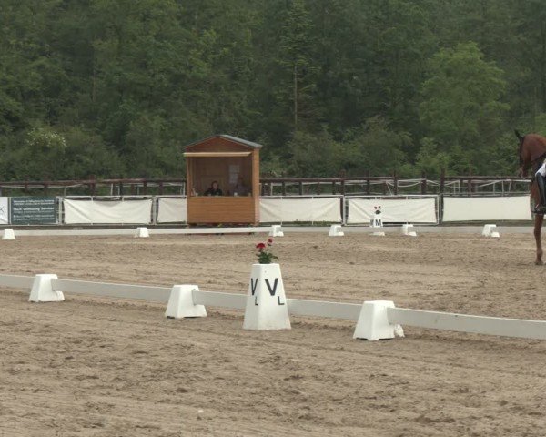 Reitturnier Frechen-Grefrath - Sonnenhof 2024