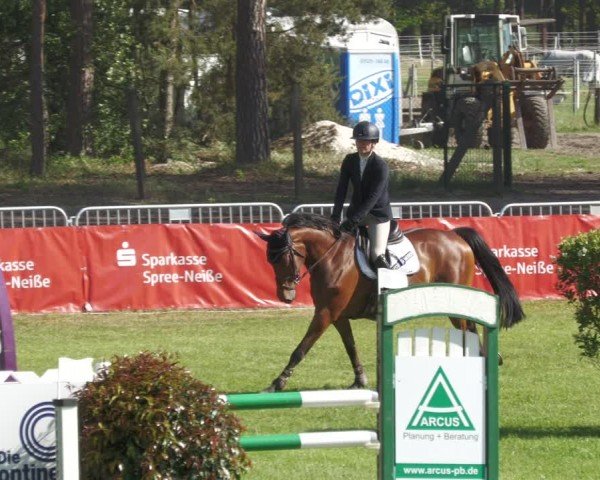 Reitturnier Cottbus-Sielow 2024
