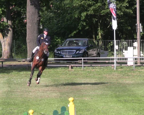 Reitturnier Blüthen 2024