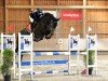 Springpferd Razzia Ma (Belgisches Warmblut, 2017, von Absolute Tobiano)