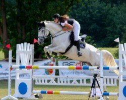 dressage horse Bandito 61 (Hanoverian, 2012, from Bonaparte N AA)