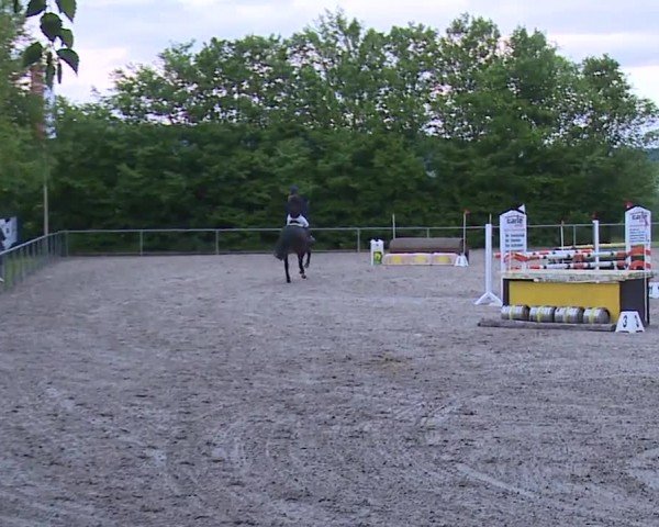 Reitturnier Landenhausen 2024