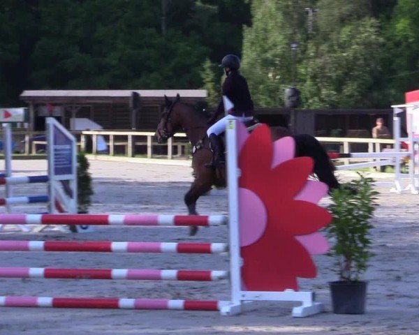 Reitturnier Kropp 2024