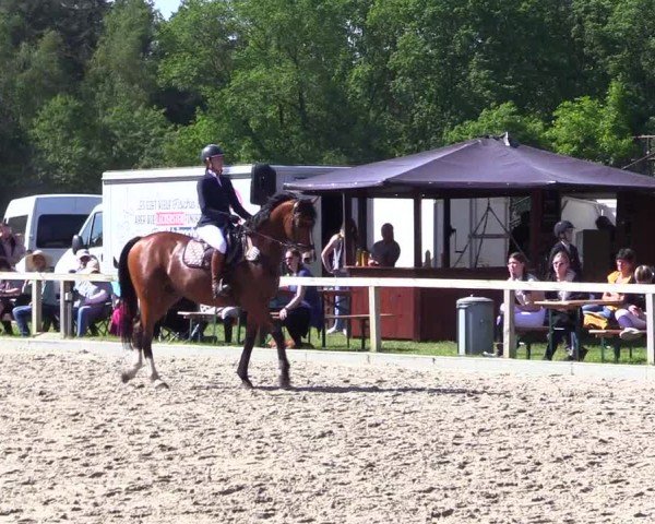 Reitturnier Kropp 2024