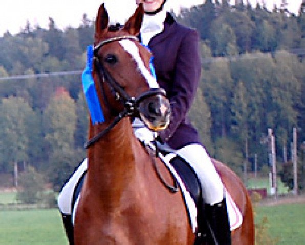 Zuchtstute EG Chelsea (Schwedisches Reitpony, 2000, von Fs Chiwago)