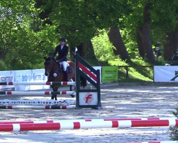 Reitturnier Kropp 2024