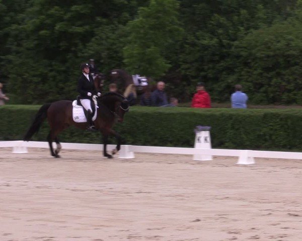 Reitturnier Westeregeln 2024
