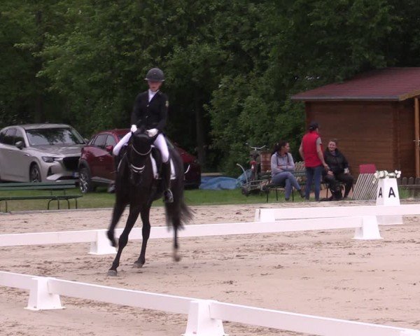 Reitturnier Westeregeln 2024