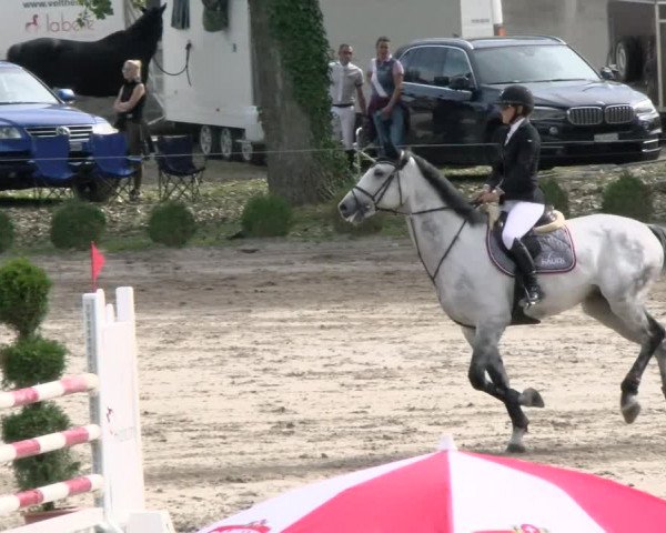 Basler Pferdesporttage Schänzli 2021