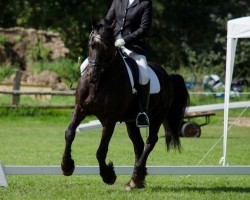 dressage horse Its (Friese, 2002, from Adel)