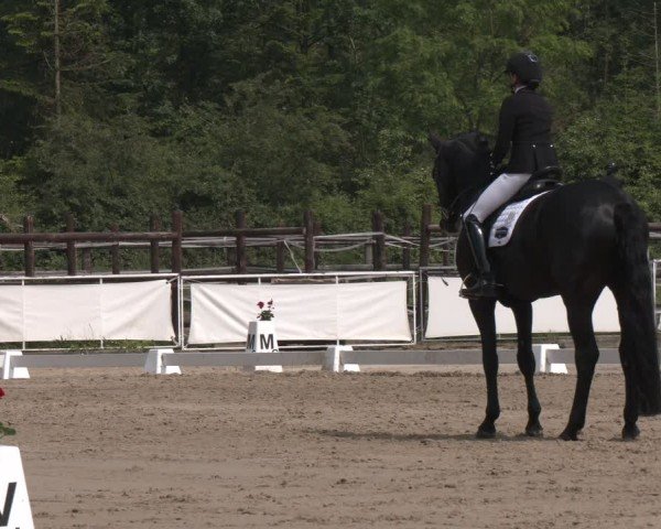 Reitturnier Frechen-Grefrath - Sonnenhof 2024