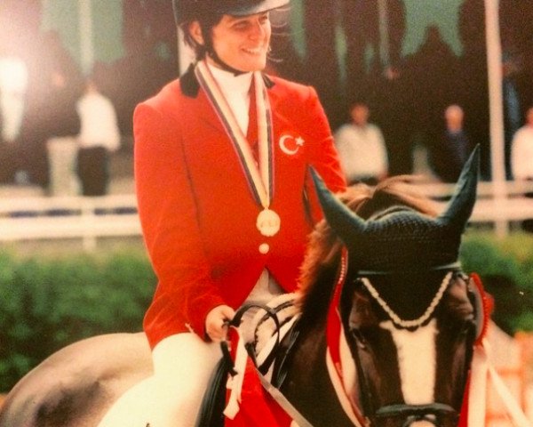 stallion Jisco de la Tour (Selle Français, 1997, from Bonhomme II)