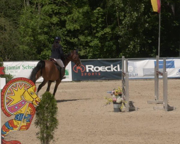 Reitturnier Karlsfeld/Obb. 2024