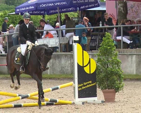 Reitturnier Landenhausen 2024