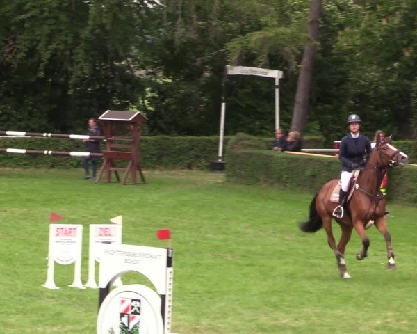 Reitturnier Westeregeln 2024