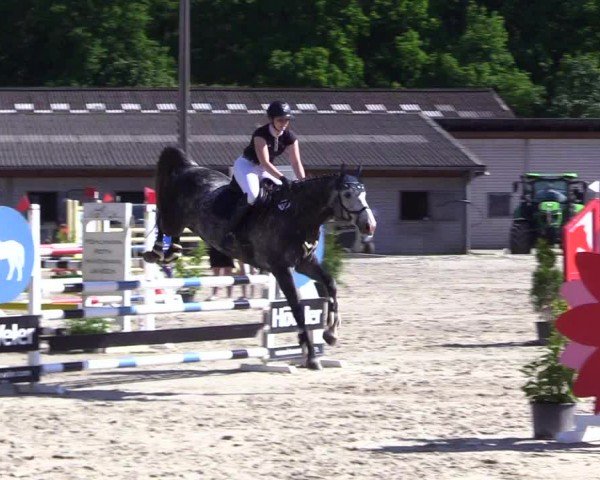Reitturnier Kropp 2024