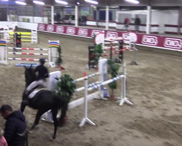 Winter Hallen Reit- und Springturnier, Reithalle Rohmann 2021