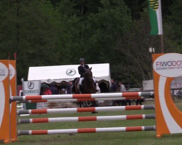 Reitturnier Horka 2024