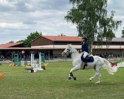 jumper Diamond (Pony without race description, 2011)