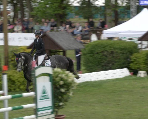 Reitturnier Cottbus-Sielow 2024
