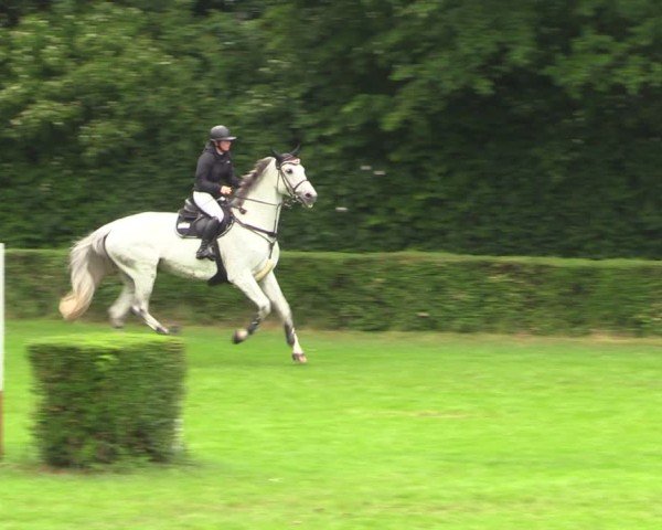 Reitturnier Westeregeln 2024