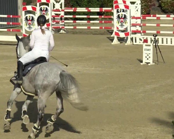 Reitturnier St. Margarethen 2024