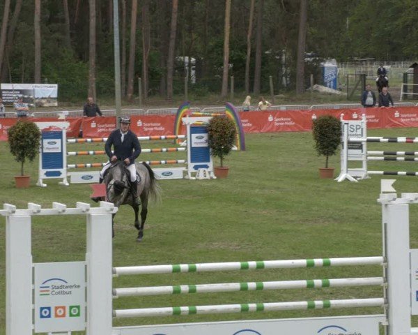 Reitturnier Cottbus-Sielow 2024