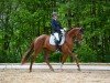 dressage horse Florentina Rb (Westphalian, 2018, from Feinrich)