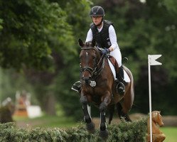 dressage horse P.S. I love you 2 (Trakehner, 2009, from Hibiskus)