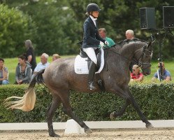 dressage horse Paradise 17 (Trakehner, 2012, from Hibiskus)