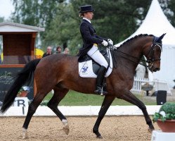 dressage horse Realist 20 (Trakehner, 1998, from Handryk)