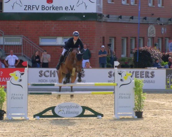 Reitturnier Borken 2024