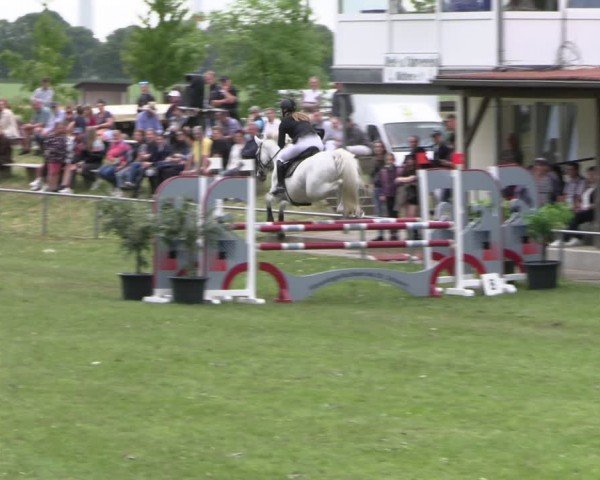 Reitturnier Blüthen 2024