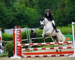 jumper Looping Loui (German Sport Horse, 2015, from Lorano 15)