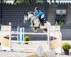 jumper Viva Las Vegas 7 (Oldenburg show jumper, 2015, from Vivant)