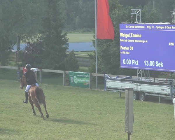 Reitturnier Pennigbüttel 2024