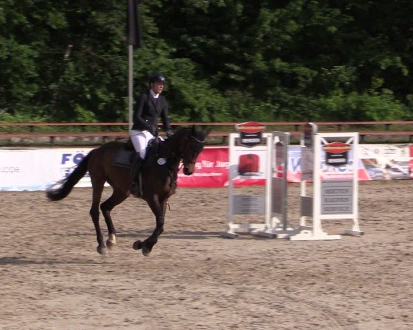 Reitturnier Lgl.-Oberhain, B95 2024