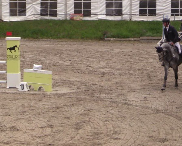 Reitturnier Lgl.-Oberhain, B95 2024