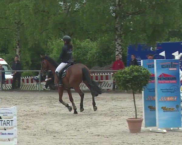 Reitturnier Landenhausen 2024