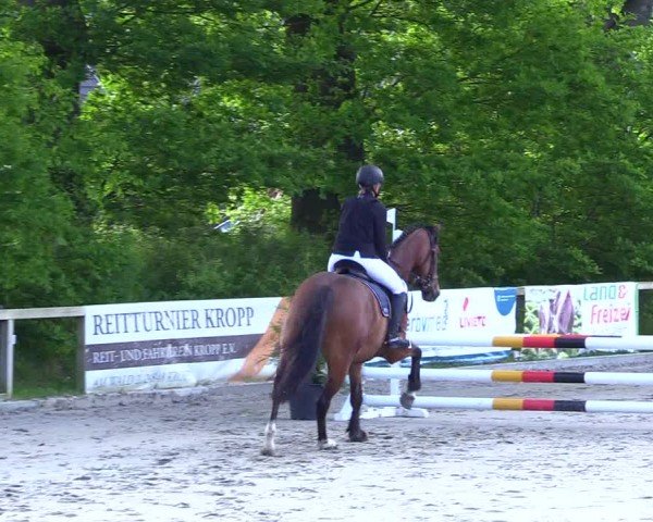 Reitturnier Kropp 2024
